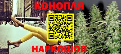 spice Кинель