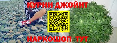 spice Кинель