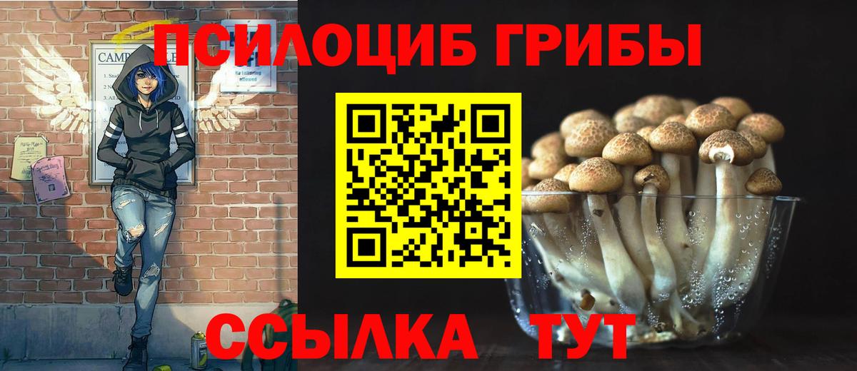 Новоалтайск  Галлюциногенные грибы Magic Shrooms  где найти   Вход с VPN 